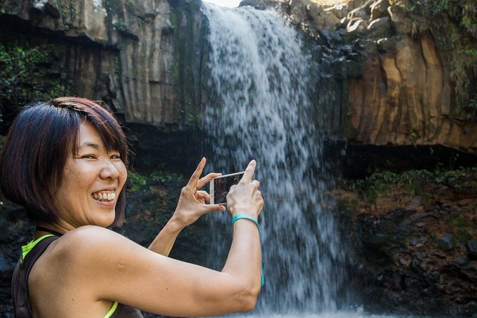 Waterfall & Rainforest Hiking Adventure with Hotel Pickup - What the 2.5-mile hike is really like