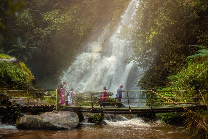 Waterfall Wanderer Doi Inthanon Hiking Tour - Walking beneath the Doi Inthanon forest