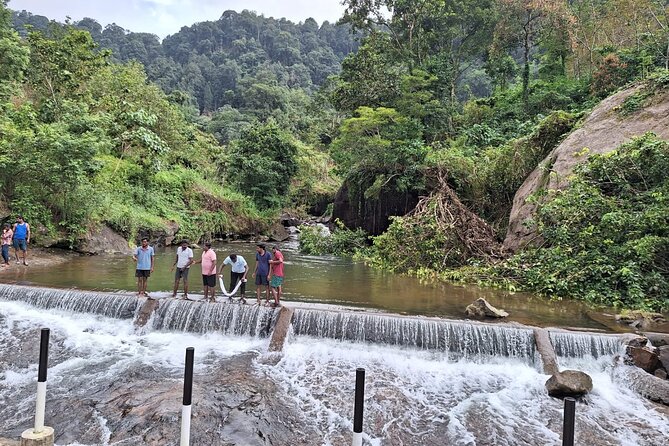 Wild Elephant Anakulam & Waterfalls Tour(munnar valley Trekking) - What the $70 price really covers