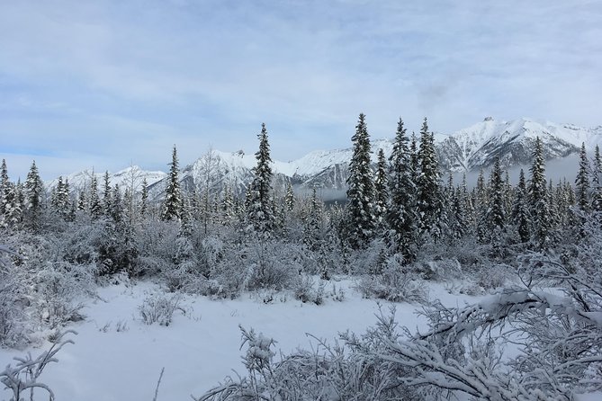Wilderness and Wildlife Hiking Tour - 3hr Hike - Wildlife signs matter as much as sightings