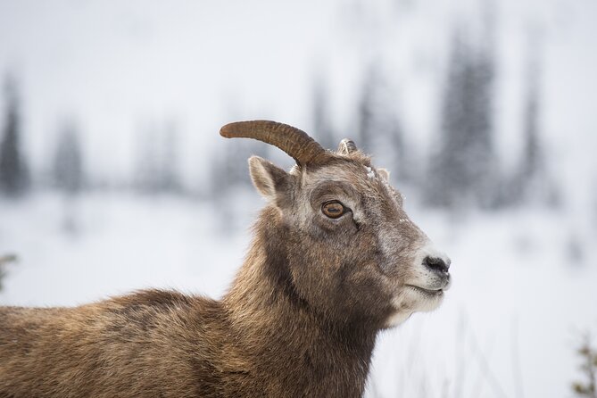 Wilderness and Wildlife Hiking Tour - 3hr Hike - Guides who turn a walk into a lesson