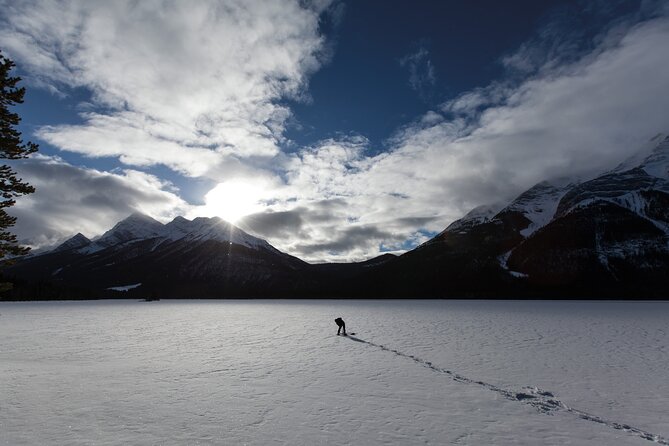 Wilderness and Wildlife Hiking Tour - 3hr Hike - Starting at Canmore Recreation Centre