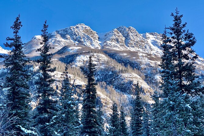 Winter Valley and Forest Hike - What the $179 price really covers