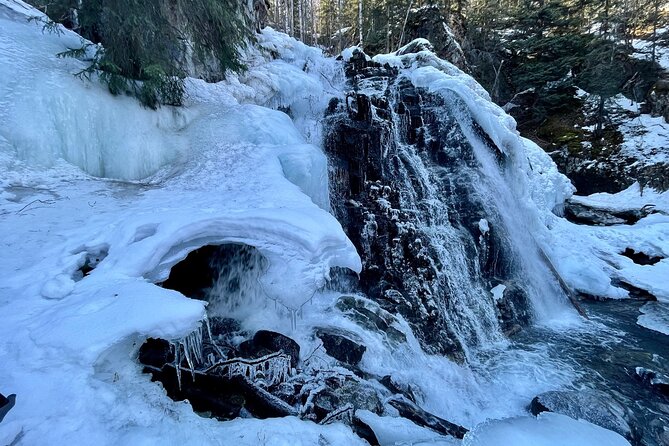 Winter Valley and Forest Hike - Who should book this hike