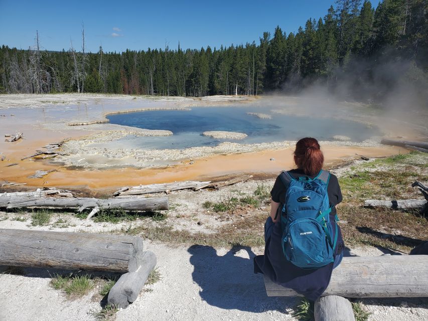 Yellowstone: Upper Geyser Basin Hike with Lunch - Lunch, pacing, and the role of the guide