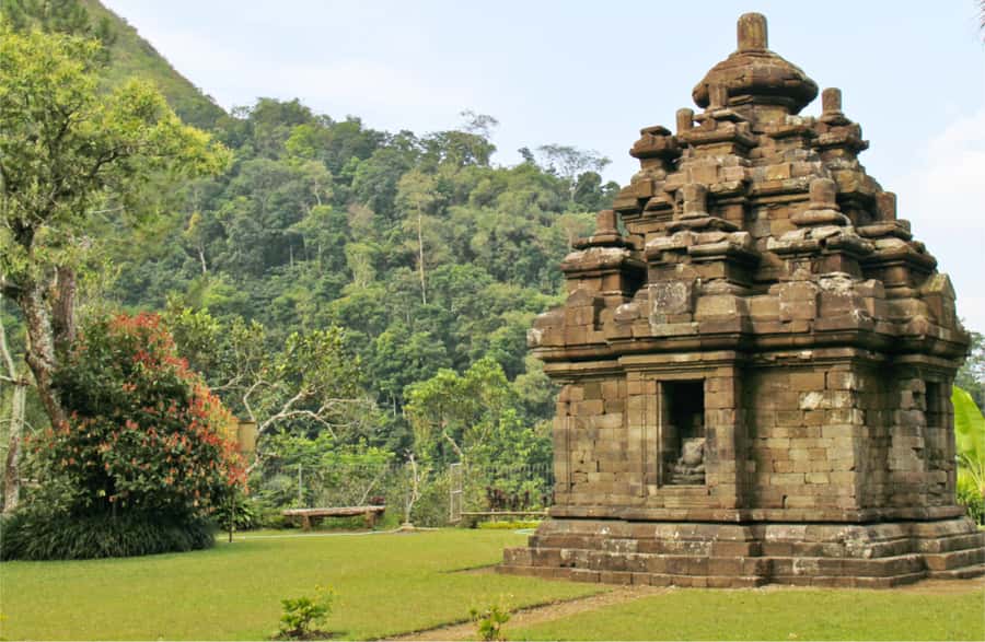 Yogyakarta: Selogriyo Temple Tour & Java Rice Terrace Trek - Tea, coffee, and the pleasant stop after the walk