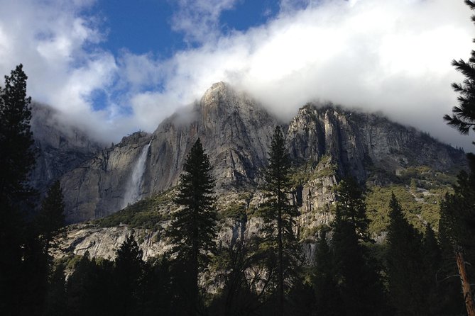 Yosemite Valley Private Hiking Tour - A flexible morning in the heart of Yosemite Valley