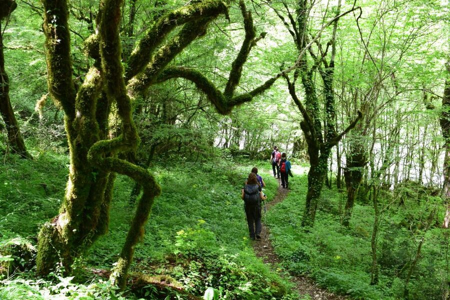 Zagori: Vikos Gorge full-day guided hike - The Voidomatis Springs and the cold-water challenge