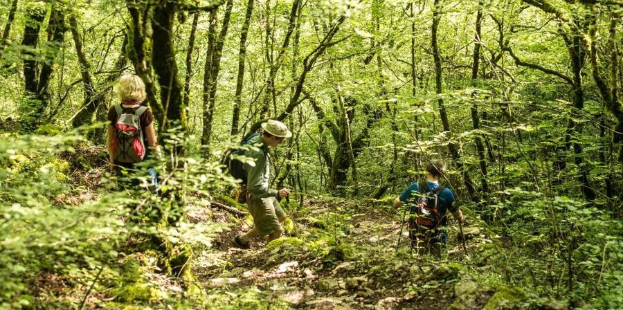 Zagori: Vikos Gorge full-day guided hike - What the picnic adds to the day