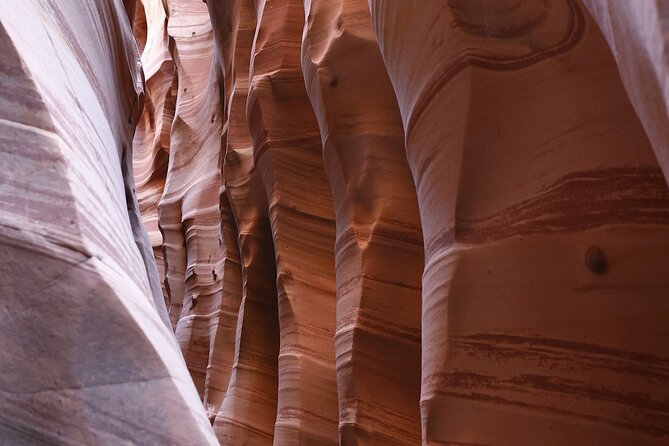 Zebra Slot Canyon Hiking Tour in Escalante - Why Zebra Slot Canyon feels different